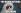 ipfs QmU5w7LFPX1MTEDExSm7xRvqimxZGcZbUGC9tmWbFXSYFt