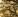 ipfs QmUCqAbFdd7re46RuNveEM34Nom5GyXpZtEZESnHDpFbV9