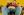 ipfs QmUWcLrVXMiypfS1EaFEXwgFW9a7hRRJqxrXgZ6iT55fzn