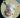 ipfs QmUd7ZsFuJwwDZWFw2L7q8Ru2JaTZohAQAdb5YCvBb12Vo
