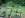 ipfs QmUjaATBMQR2MngeVasCpffedCNxQCZz4qm2uJSu2soLDv