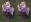 ipfs QmVANSUDdxCfgXzWQCTWmAvjLoNSgdqmwY1ugNAN9u547i