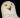 ipfs QmVRAYuzMRP6eP7k12cJ99Kn93dQhGyqBBVDyL8LptirJS