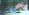 ipfs QmVXGw1YDEb7Kx2fcebdRBuviEmeXQJUQPXmexikSQ17qS