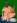 ipfs QmWBUTU1fpc12vhGXz2Qu25BVM4TTsP2WnWRnswaHDkAmB