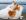 ipfs QmWDGXYGjdq2V9b7dTcfYeXs3Jkf35wgwd1JsQnR7PjZGW