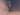 ipfs QmWEAjBwrTZDkSMSLwiZriab9cJfa432ZFZQqPjcapXJ7T