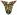 ipfs QmWc5fknfLtcPtWhvAjRw6My86P6XkdkXkFJdmRSNr7kWg