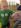 ipfs QmWnpS1dAU3XYfLZ56N7gnvD5iSAarYBs7qZMpyeKV9koo
