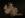 ipfs QmXWJAZ7uUQ76eyawbgCWLpoySfUq8biUuYSH4QHsbQ5o6