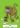 ipfs QmXhxspdfkvhn7wb6WLpwLNGxhxQAZ8rq4ZDgGT6PNXH2N