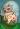 ipfs QmY1kF2Cp53desDR2C4JiSfb7aFBMLp12WHuXGXyWGvA6D