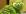 ipfs QmY7dW8JxWZ9cvwK5uFUqTecDvp3ip936u27hutQ7honVW