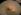 ipfs QmZKgsKsrHDkegFWxhrTJbDmShxNAn7iq85rPHCvUZVkBv