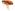 ipfs QmZfXnquM52nFEoxawkmUwxTDH79wTKbpS5cxRuBR45iVY