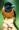 ipfs QmZqV2Kgpgi33upZ7EzybnVz8asFoqezz3uWZwSbrGoKuQ