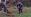 ipfs QmZwxx24ya1XRNSYS51wNqYE1k5cPs6sMFCJ6vSNDxCRfQ