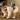 ipfs QmaDNbtiYpdkgjpzBjRNGzF67JSoL5CURtfAcvDHcatbhh