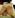 ipfs Qmc15vUcWZFV4HtgGuPMNytXG4yqkEA6eRJXdTyJjTY4wz