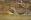 ipfs QmcoFHKh7pZYn91jyiP6gNSxDLQV3CGjvFGdSxTRDQnD9U