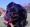 ipfs Qmcpb4wkPFUddrZfVJ1f5mzraMGmqp8jhDcpifwrS2RVvY