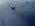 ipfs QmcvYVhxkAsMNGNEVGwh5km3cMeck17obVKwjBrB22HcXp