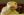 ipfs Qmd5STVZo3dxQnGVgJV1DyqjCKMuyRVzcCXVipnuDUH8Ef
