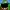 ipfs Qmd5ToaXFDrqHgjMWSuPBZX2V127f7PabtudgumZYxiivL