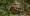 ipfs QmdhVjR7E1foVVkdKRoLc7UrG8ifbnwoo3tFdGJW2mJo7y