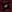 ipfs QmdpnKYFjw5BQwuaH2AbnNnarYzZidzYmbHWqY12v4T21r