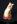 ipfs Qmdqus43abYDhq9A8MjbsEUhTPccqGmsvkbmasj3MXKNuN