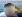ipfs QmeV6HcmgfQaquGxRhdh4FP4Ei8a9HBRCeSXyzaDg7Uu6C