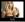 ipfs QmemmoXmEJerRnGfji2tncsy7W3aW4AGCC85XSTnZ7cDWg