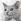 ipfs QmfTFXizW3aD9v2SRTiYu76Pm8vU8YLjX6pHFkL7krDDxK