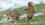 insolite animal attaque concours marmotte peur photo renard tibet