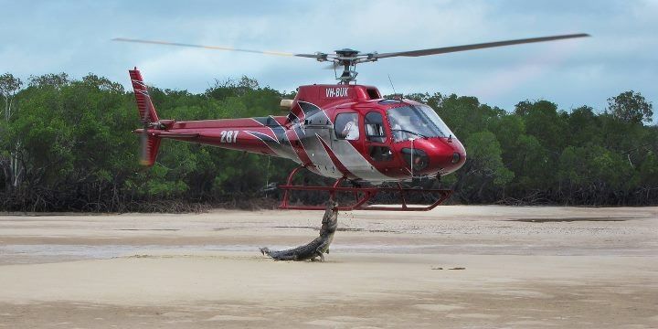 Un crocodile attaque un hélicoptère