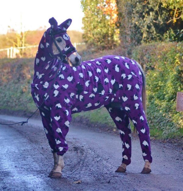 Cheval en pyjama