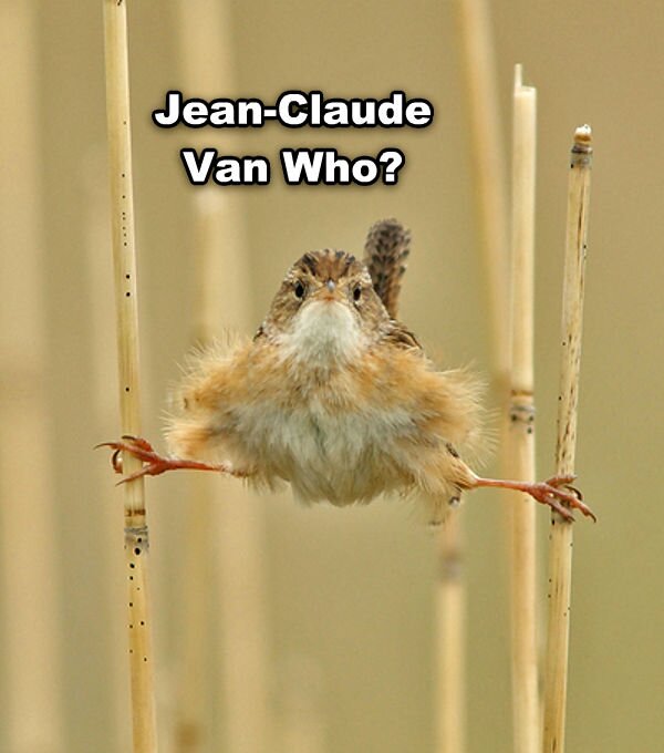 Jean-Claude qui ?