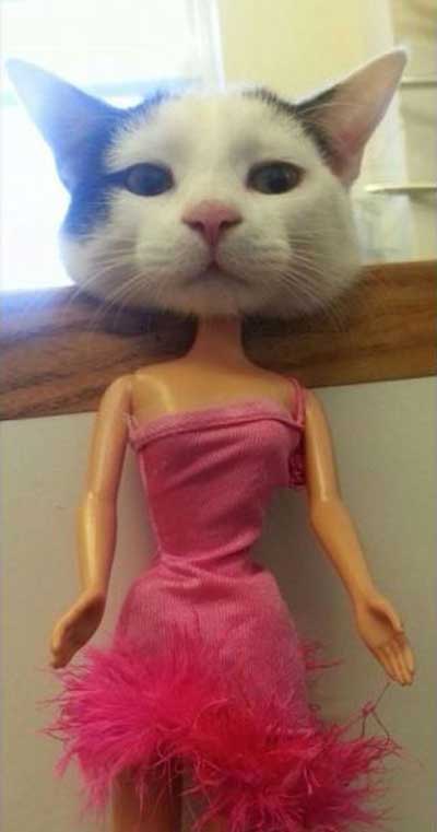 Barbie avec une tête de chat