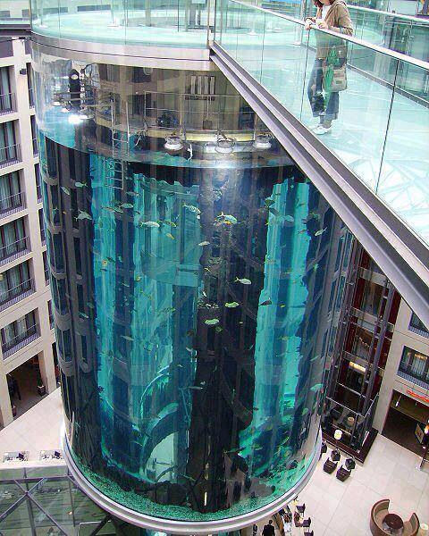Ascenseur aquarium