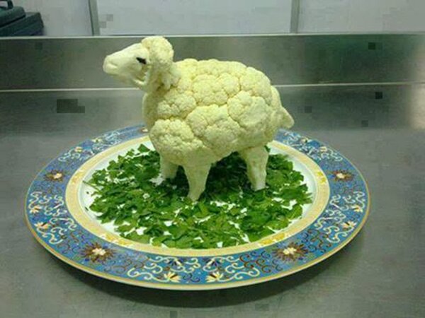 Mouton chou-fleur
