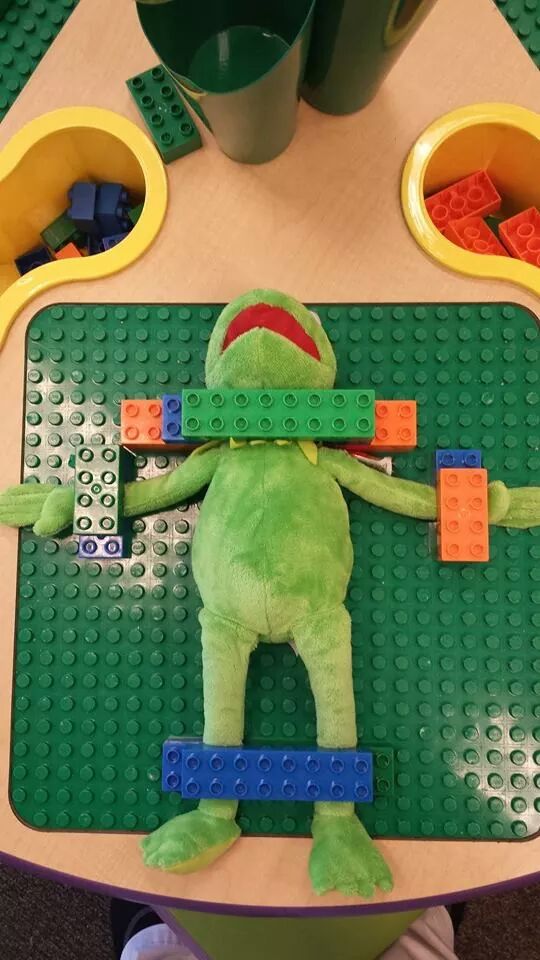 Dissection de Kermit la grenouille