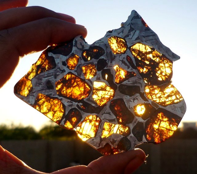Tranche de météorite pallasite