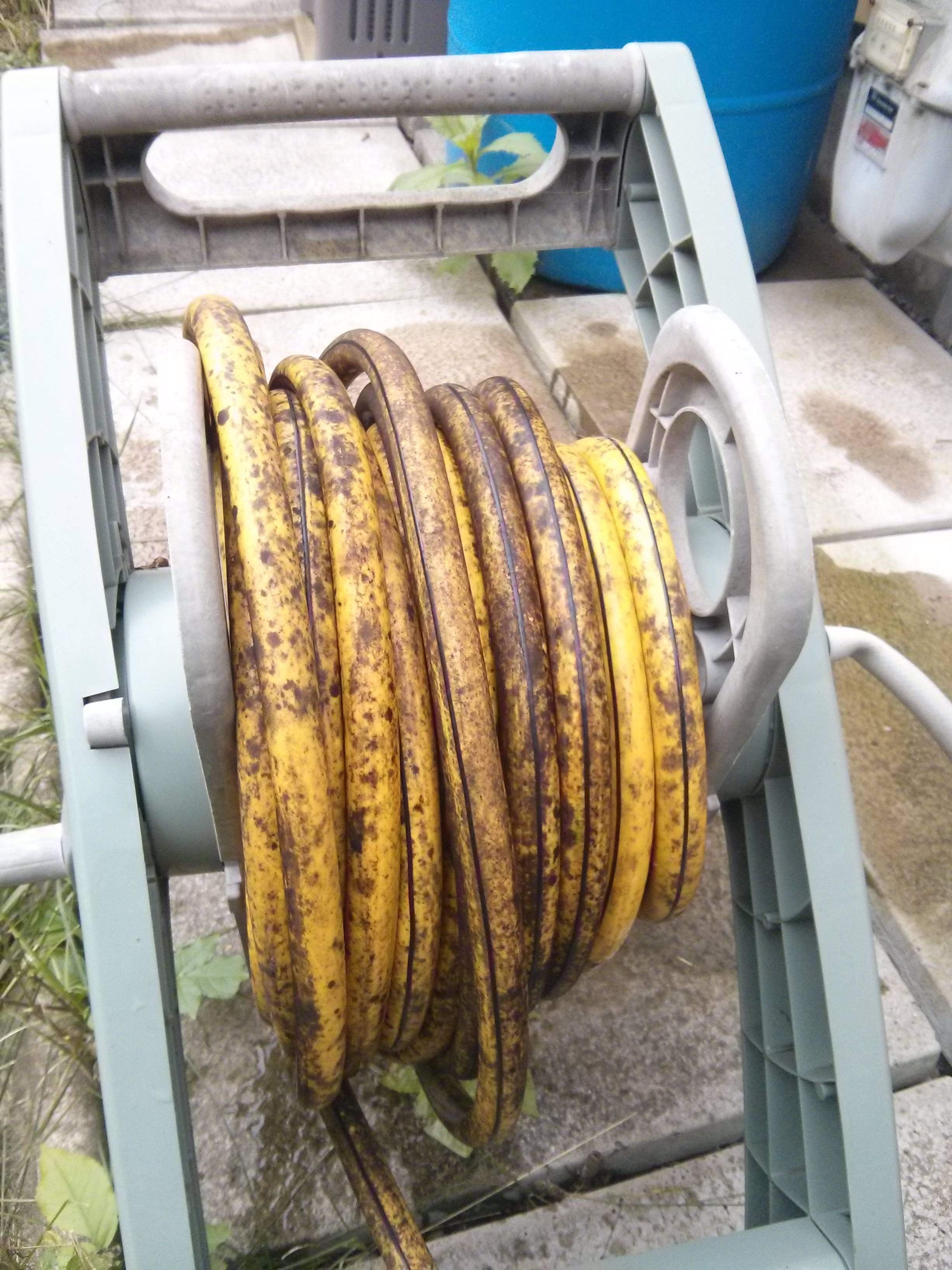 Tuyau arrossage banane