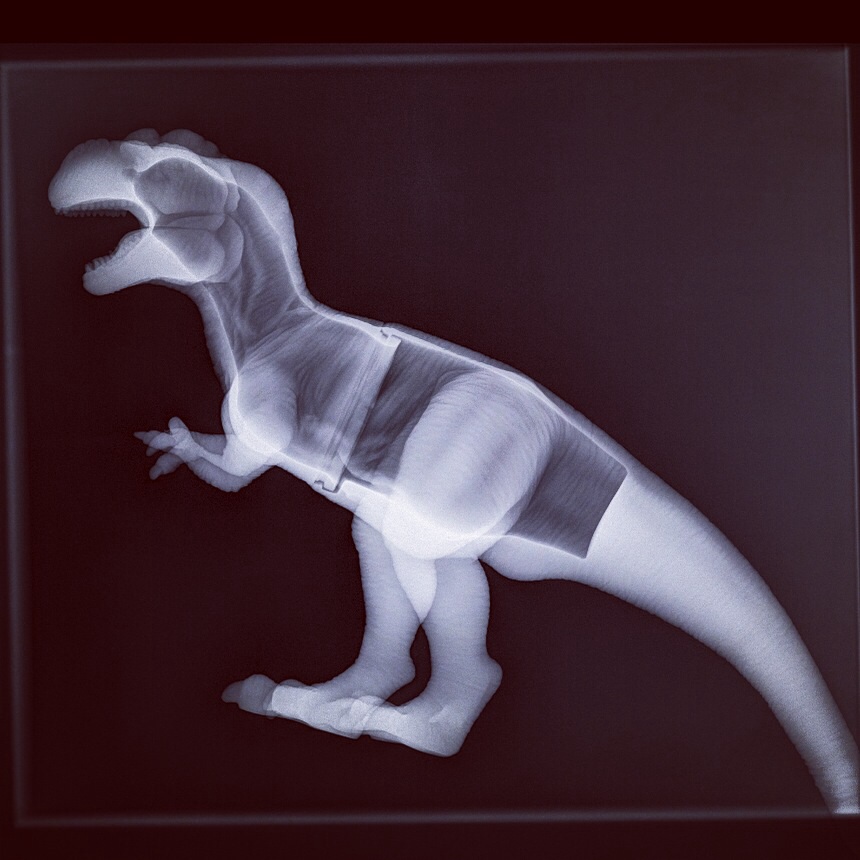 Un jouet dinosaure au rayon X