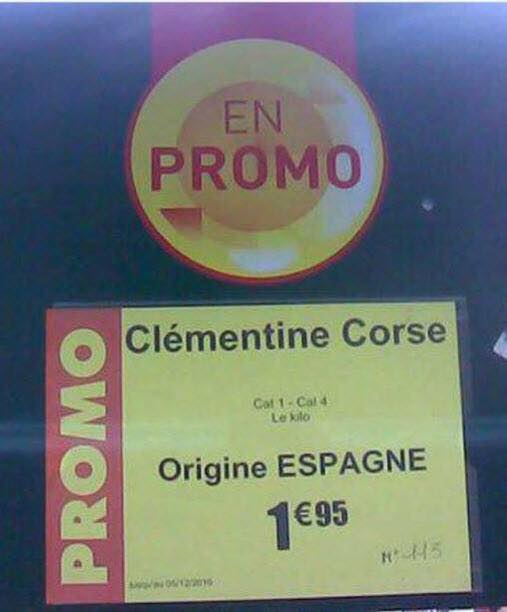 Clémentine Corse (Origine Espagne)