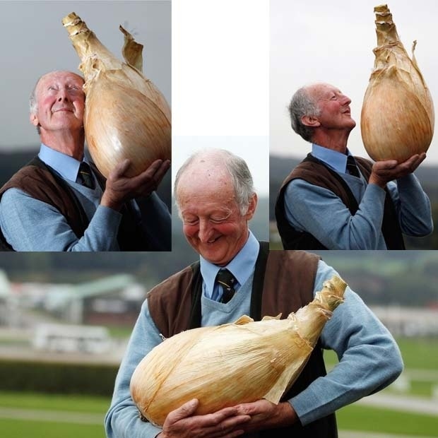 Un homme heureux avec son oignon géant