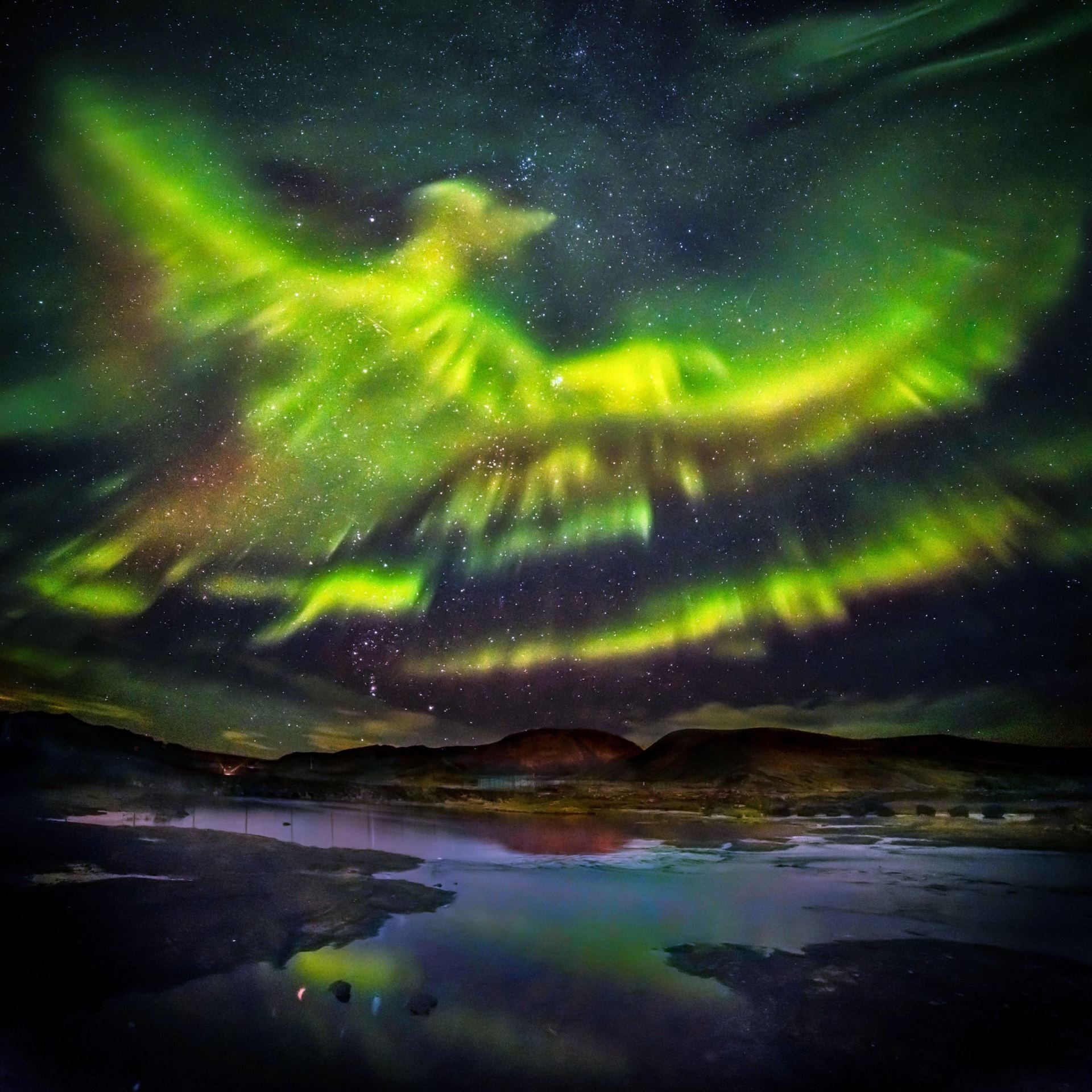 Un phénix dans une aurore boréale (Islande)