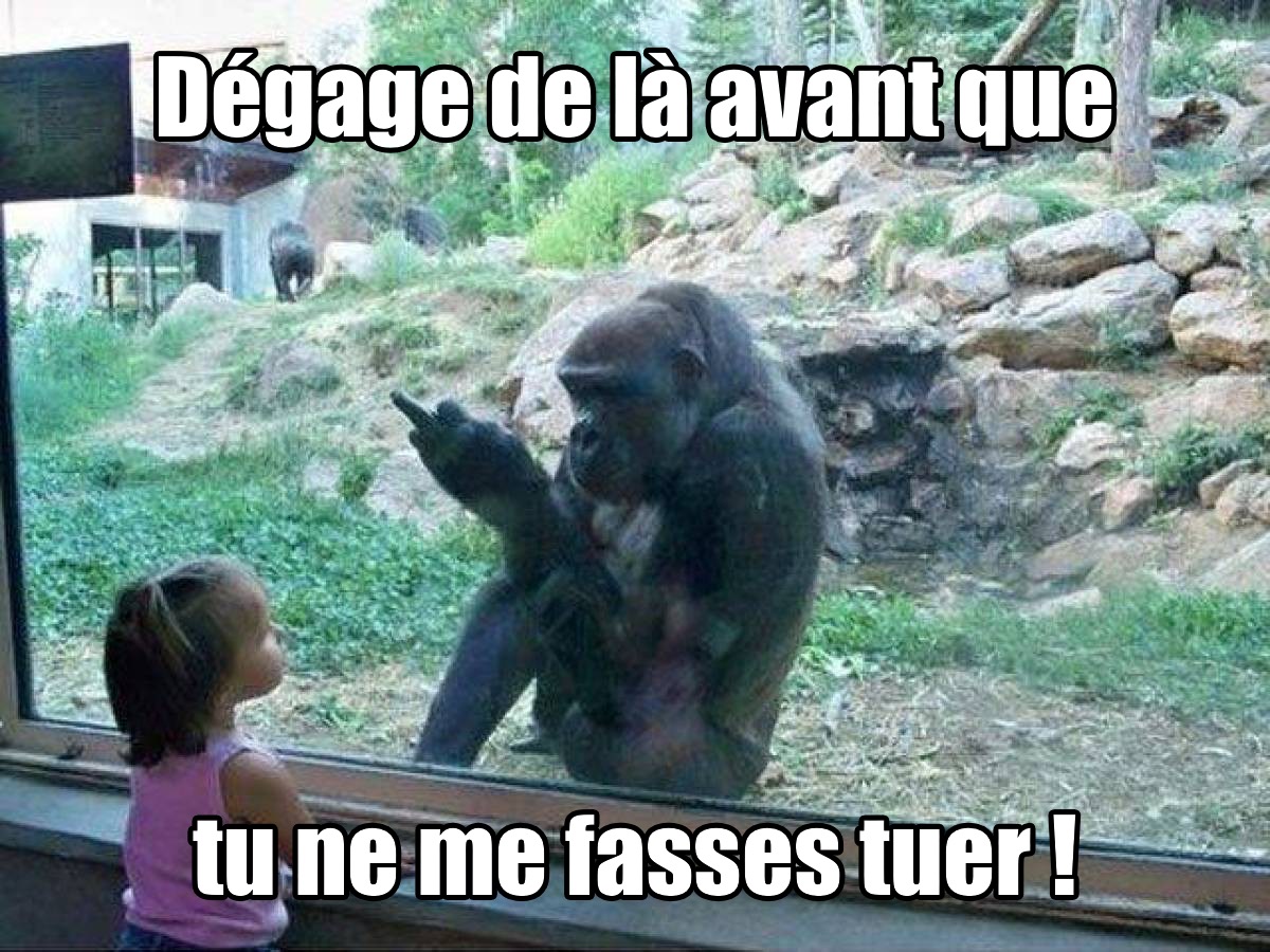 Un gorille dans un zoo fait signe à un enfant de dégager