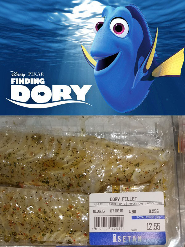 On a retrouvé Dory !